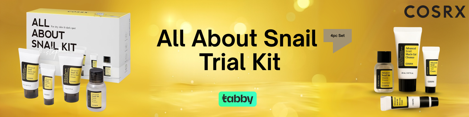 SHANFA BANNER scaled